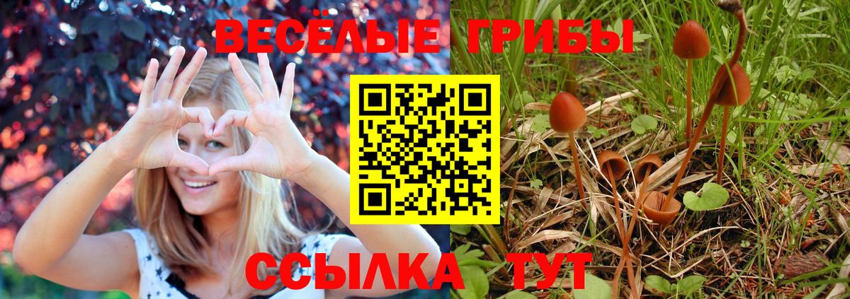 Галлюциногенные грибы GOLDEN TEACHER  Вход с VPN  Арзамас 